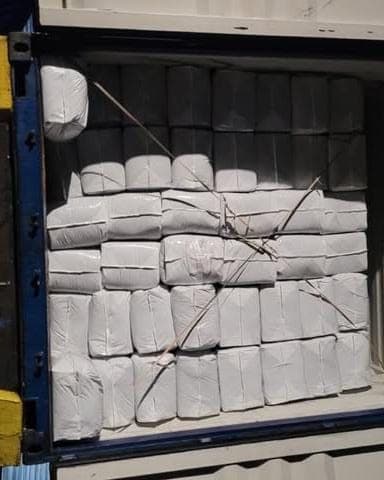 Wrapped white cocopeat bales strapped in place inside a container.