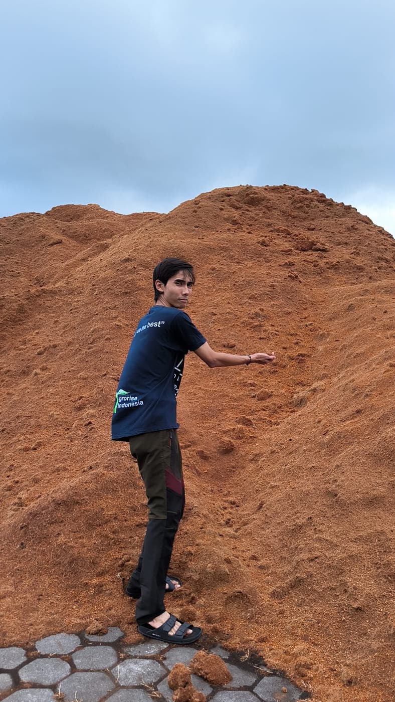 Agrorise Indonesia team member standing beside a tall outdoor heap of cocopeat.
