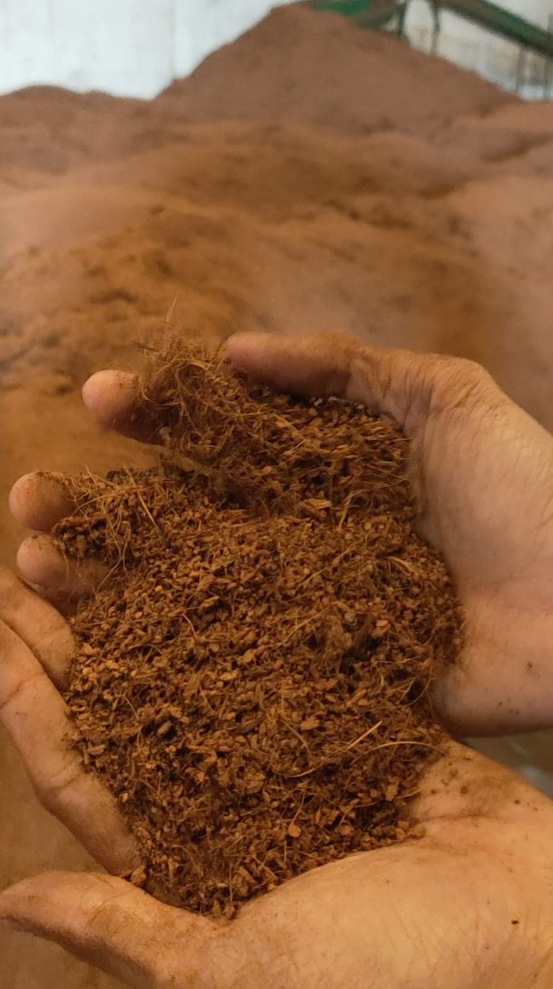 Two cupped hands holding loose damp cocopeat.