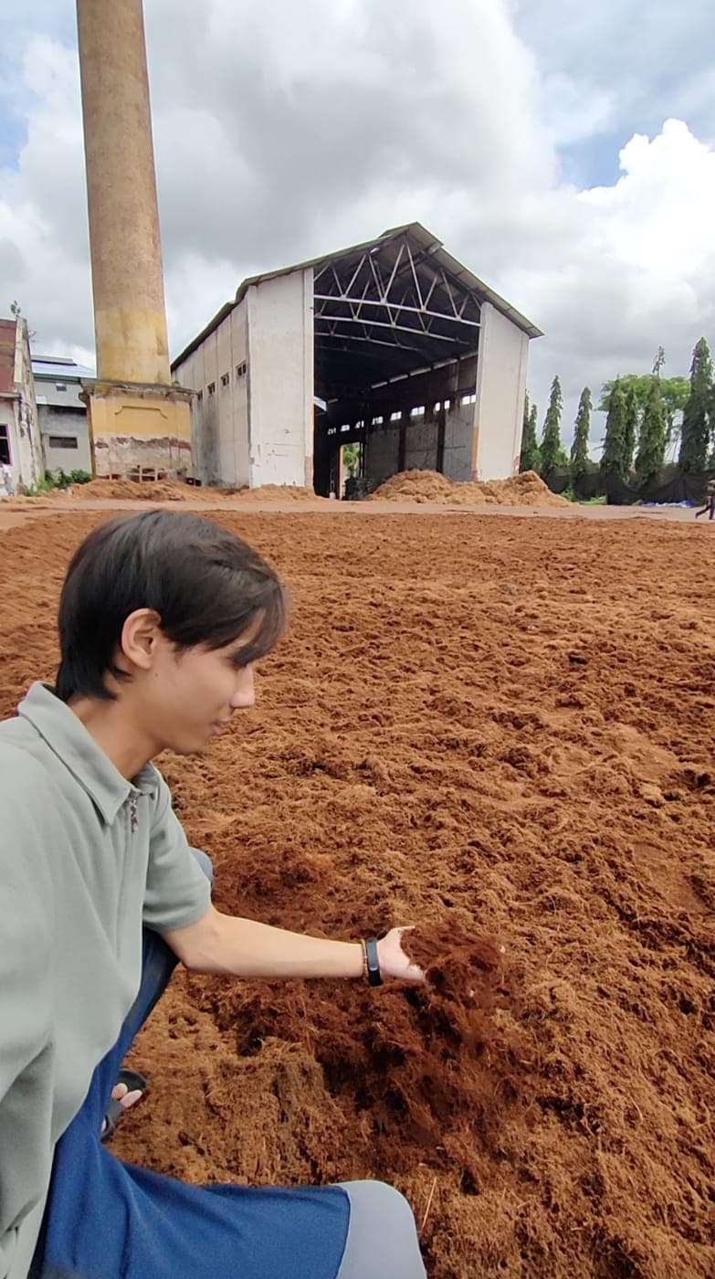 Agrorise Indonesia team member kneeling on a wide yard of cocopeat spread out to dry, with the production shed behind.