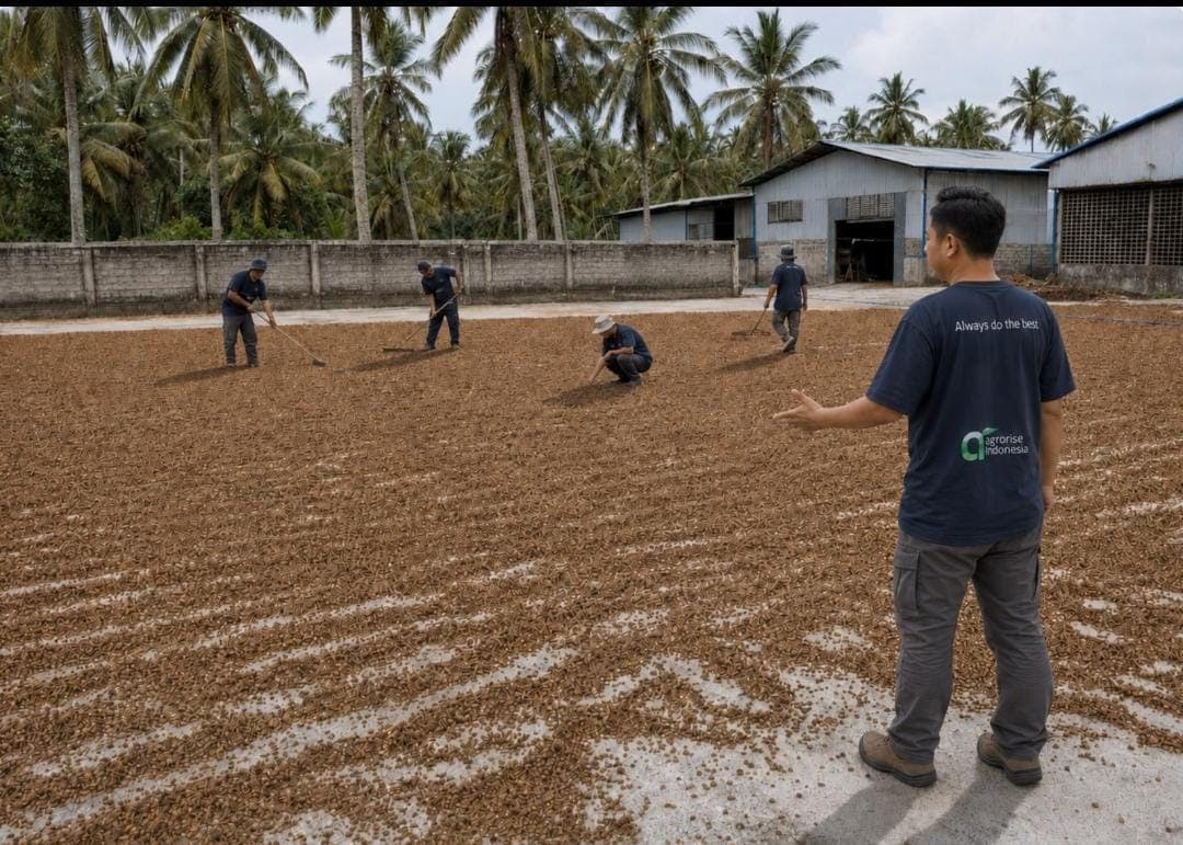 Open drying yard with several workers spreading coir material in the sun, coconut palms behind.