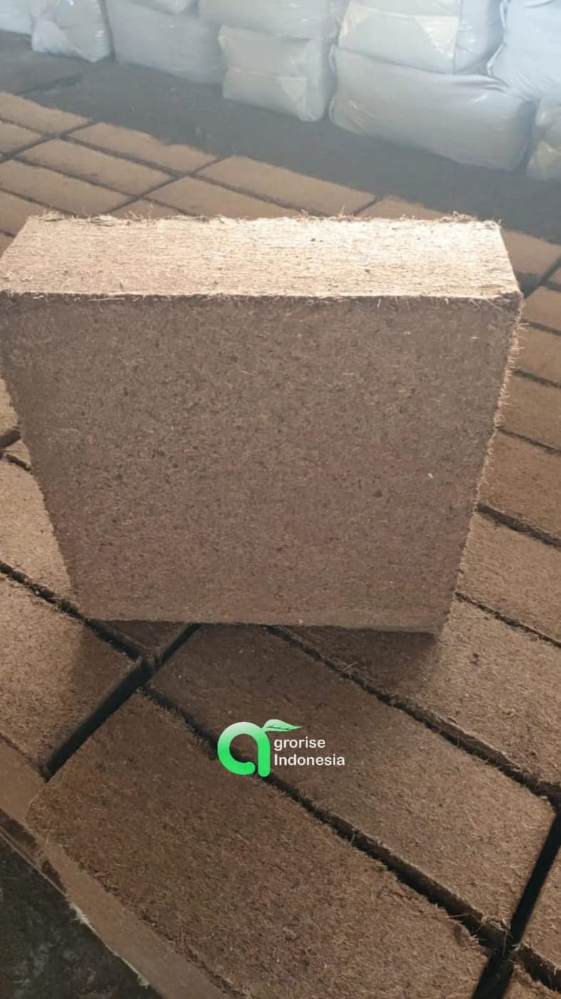 Close view of the corner of a compressed cocopeat block carrying the Agrorise Indonesia mark.