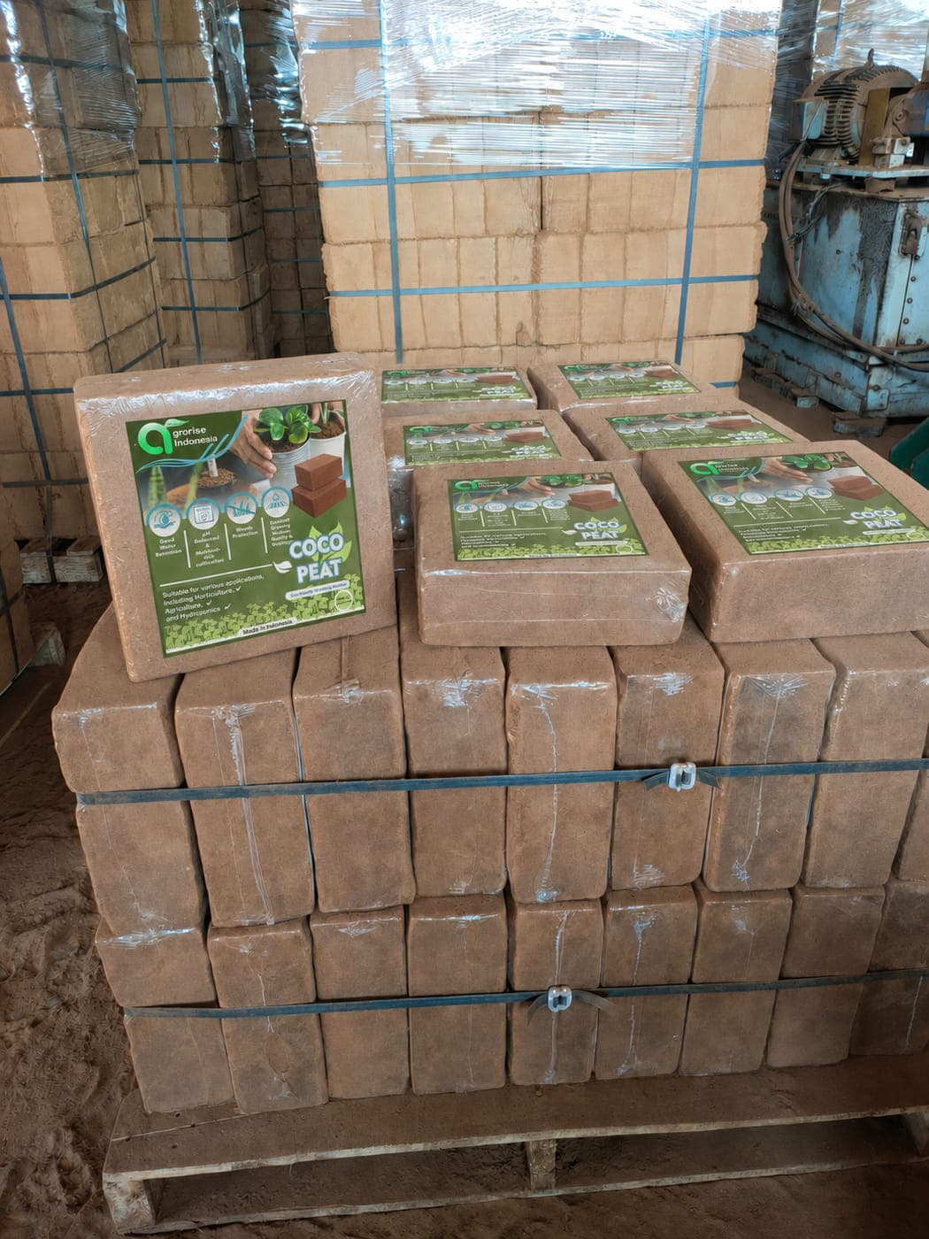 Pallet of cocopeat blocks topped with printed Agrorise Indonesia product marking cards.